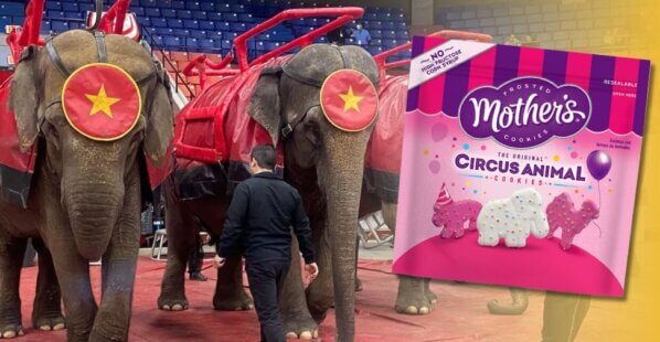 elephants used in circuses and Mother's Cookies packaging highlighting animals used in circuses.