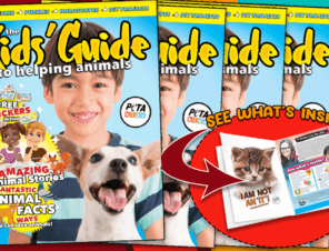 Kids Guide to Helping Animals Magazine