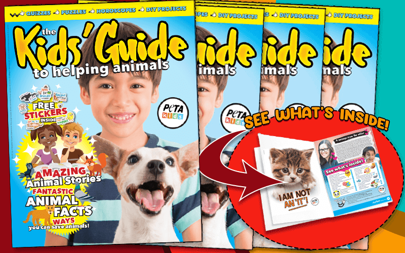 Kids Guide to Helping Animals Magazine