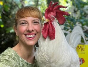 Learn All About Chickens With Bree the Rooster!