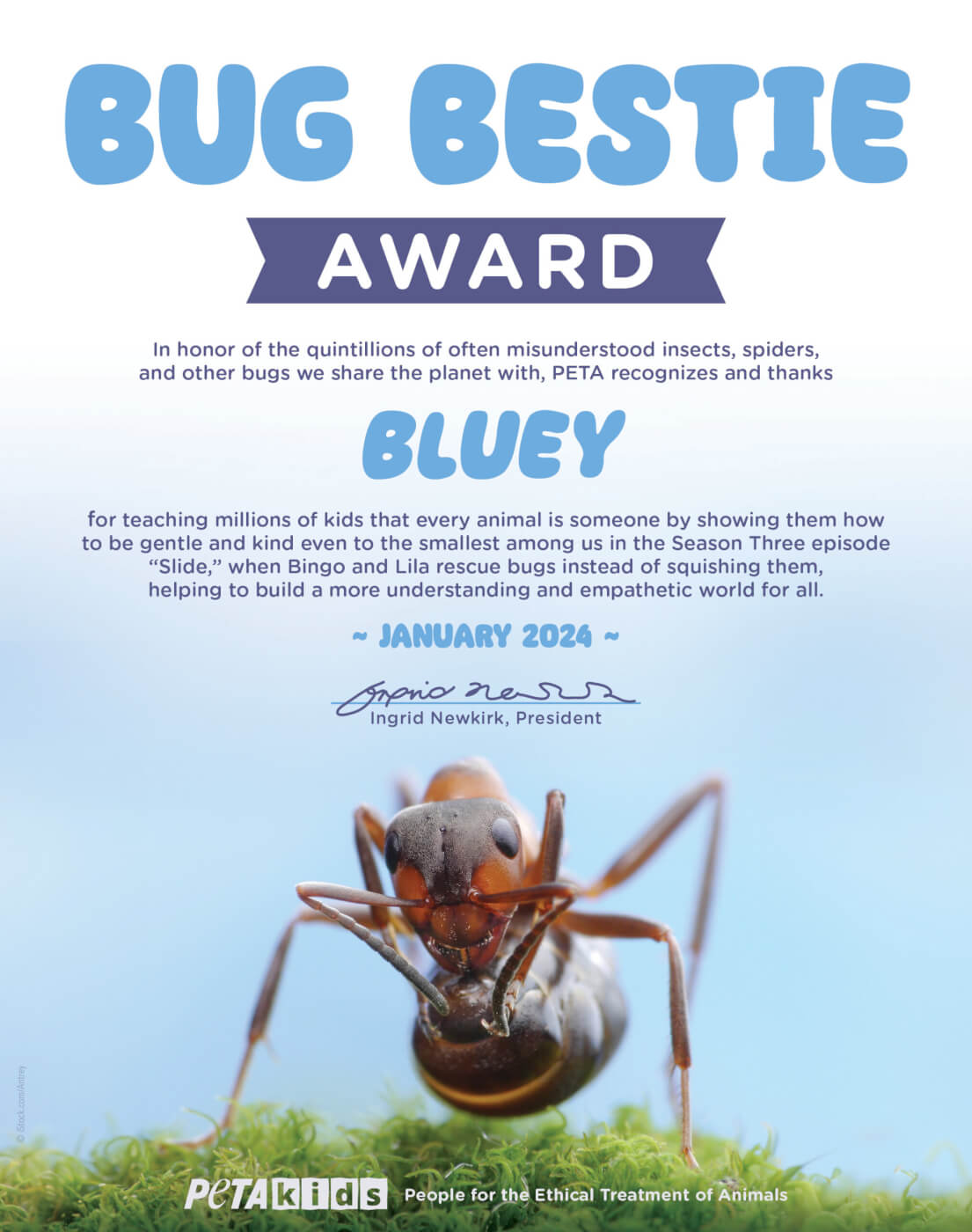 PETA Kids Bug Bestie Bluey Award 9.5x7.5 2024 scaled TV Show Bluey is Given “Bug Bestie” Award