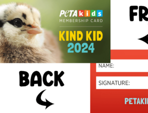Become a PETA Kids Member and Get Your Own Membership Card!