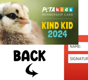 PETA Kids 2024 Membership card.
