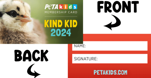 PETA Kids 2024 Membership card.