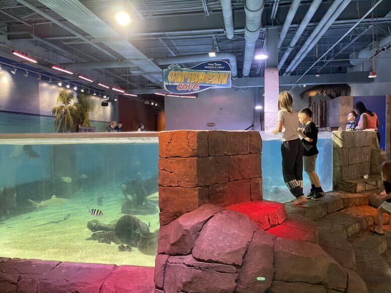 Kids unsupervised at a SeaQuest touch tank 