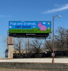 peppa pig billboard off the freeway that says 'pigs are friends, not food'