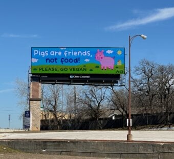 peppa pig billboard off the freeway that says 'pigs are friends, not food'