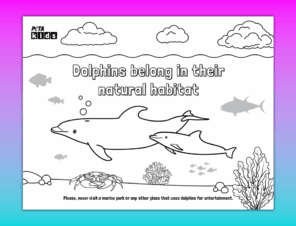 Dolphin Coloring Sheet