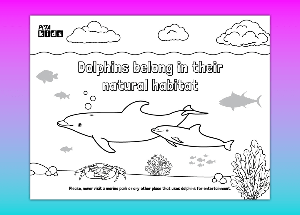 dolphin coloring sheet