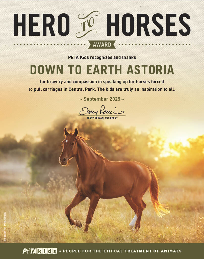 'Hero to Horses' Award