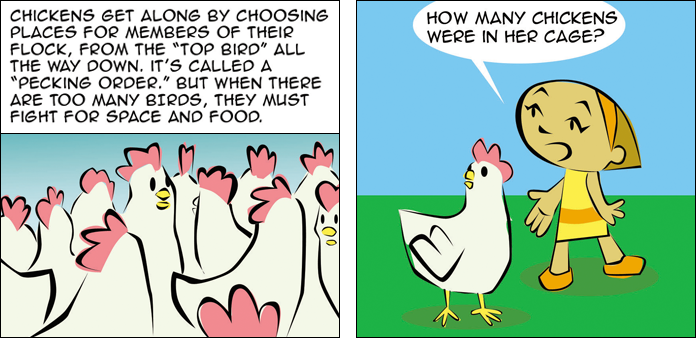 chickens-life-slide-31