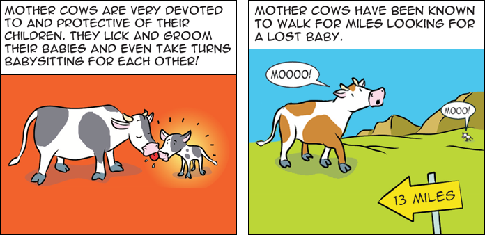cows-life-slide-3