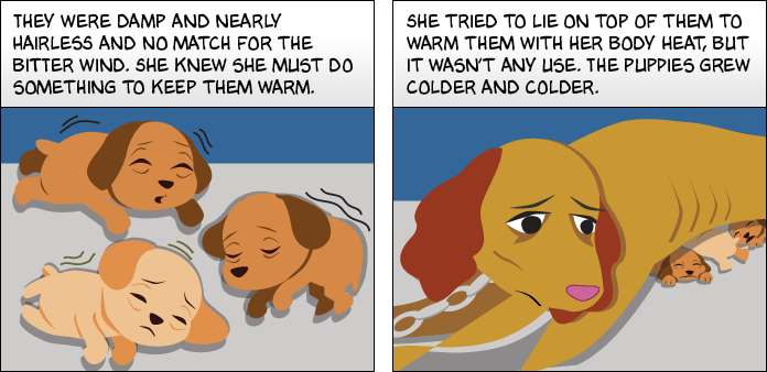 dogs-life-slide-19