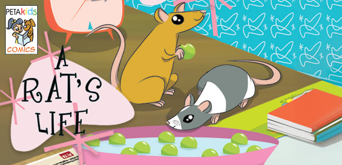 A-Rats-Life-Comic-Online-Page