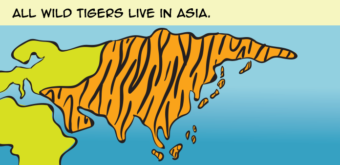 tigers-life-slide-17